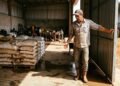 Família compra 180 sacos de ração e percebe ao abrir o galpão que parte da carga chegou úmida; fornecedor afirma que produto ainda pode ser usado