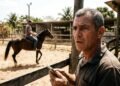Proprietário paga R$ 3 mil mensais para manter cavalo em haras e descobre em vídeos que animal era usado em aulas para desconhecidos
