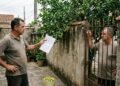Morador recolhe dezenas de limões que caíram da árvore do vizinho em seu quintal e proprietário exige a devolução dos frutos