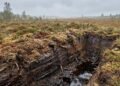 Encontrado em um pântano da Dinamarca, este homem morreu há 2.400 anos e teve o rosto preservado quase intacto