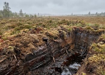 Encontrado em um pântano da Dinamarca, este homem morreu há 2.400 anos e teve o rosto preservado quase intacto