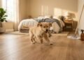 Adeus piso laminado estufado ou arranhado: o que você precisa saber sobre umidade, pets e a limpeza correta antes de instalar em casa