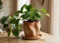 O reinado dos vasos de flores tradicionais acabou: a nova tendência mais elegante para decorar com plantas em 2027