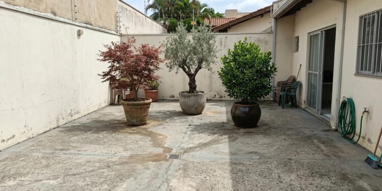 O cultivo em vasos também permite reorganizar a decoração sem realizar obras no imóvel.