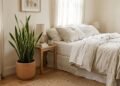 Estas 7 plantas de interior ajudam você a dormir melhor, segundo a ciência