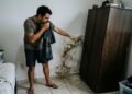 Locatário encontra mofo em todos os quartos durante primeira estação chuvosa, proprietário manda pintar paredes três vezes e problema continua atingindo móveis