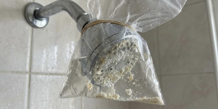 Com o tempo, esses minerais formam uma camada esbranquiçada conhecida como calcário ou sarro, que pode se acumular justamente nas pequenas saídas de água do chuveiro.