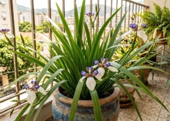 Os jardineiros a chamam de “orquídea falsa”: a planta que cresce em vaso, floresce na primavera e adiciona muita cor ao seu jardim