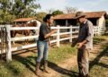 Proprietária deixa cavalos em sítio sob cuidados de funcionário e descobre que animais eram usados por outras pessoas quando ela não estava presente