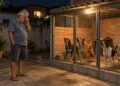 Gastar R$ 15 mil na estrutura não livra o dono do canil de denúncias por latidos de madrugada