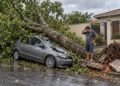 Se a prefeitura foi avisada do risco da árvore e não agiu, o dono do carro pode ser indenizado pela omissão do poder público