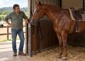Sem licença expressa do dono, o centro de treinamento não pode usar o cavalo hospedado e responde por perdas e danos