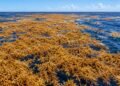 O Mar dos Sargaços é delimitado por correntes oceânicas, não por praias, ilhas ou continentes