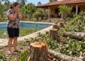 Pomar derrubado e piscina abandonada podem gerar dever de indenizar quando há prejuízo comprovado