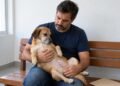 Cirurgia cobrada em clínica veterinária, mas não realizada, expõe os direitos do tutor