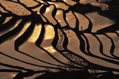 CHINA OUT(FILES) This picture taken on March 14, 2012 shows the terraced rice fields in Hani, southwest China's Yunnan province.  A decade-long surge of the potent greenhouse gas methane threatens to make the fight against global warming even harder, top researchers warned on December 12, 2016. A likely culprit, the study concluded, is livestock production and agriculture (especially rice paddies), which together account for nearly two-thirds of manmade methane emissions. - China OUT / AFP / STR