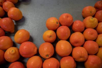 Só bergamota? Conheça diferentes nomes da tangerina no Brasil