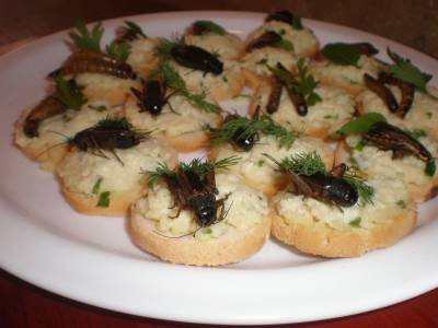 Crédito: Liza Flores-Vale Verde/Divulgação. Canapés de insetos.