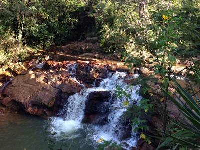 Cuidar da Serrinha do Paranoá para ter água no DF