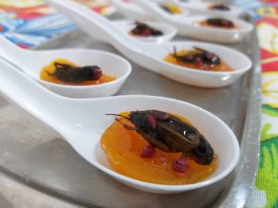  02/07/2019. Crédito: Chef Casé Oliveira/Divulgação. O poder nutritivo dos insetos. Finger ancestral: aperitivo de grilo negro.