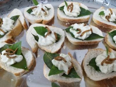 Crédito: Chef Casé Oliveira/Divulgação. O poder nutritivo dos insetos. "Ora pro Bugs": feito com ora pró nóbis (larva).