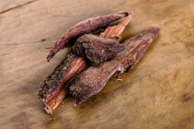 A planta que cura feridas e cresce sozinha no jardim