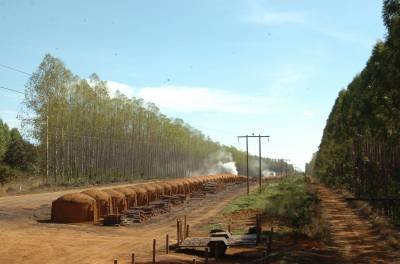 Ministério do Meio Ambiente ou da Inviabilização Agropecuária?